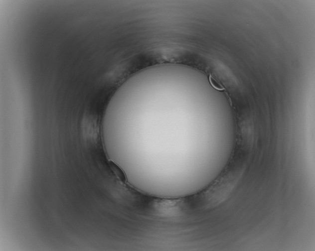 X0000111610129200907241017