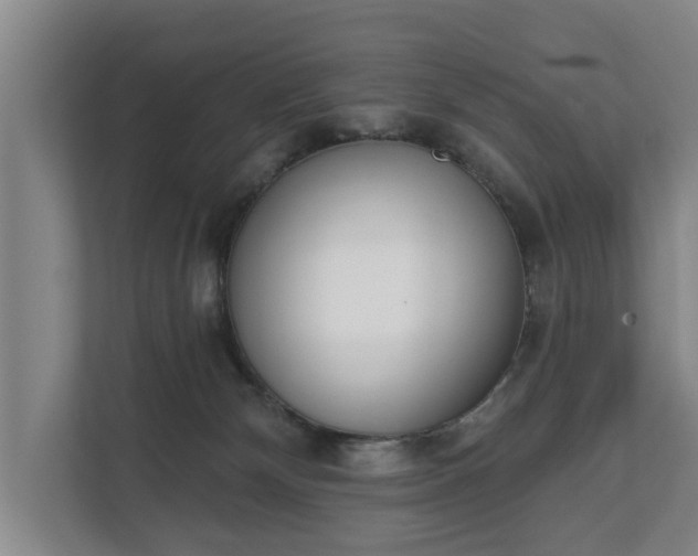 X0000111610132200907241017
