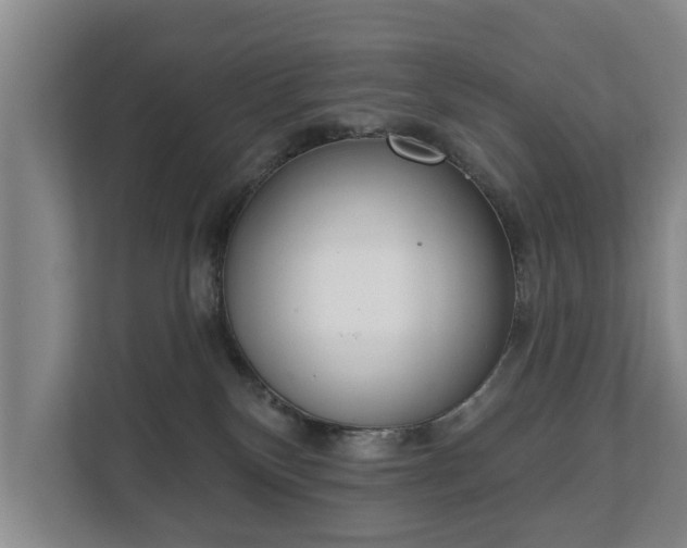 X0000111610136200907241017