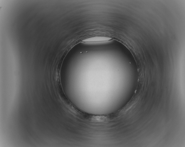 X0000111610137200907241017