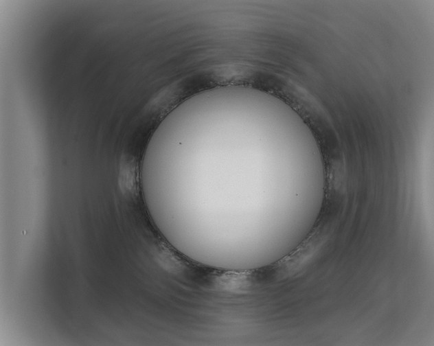 X0000111610138200907241017