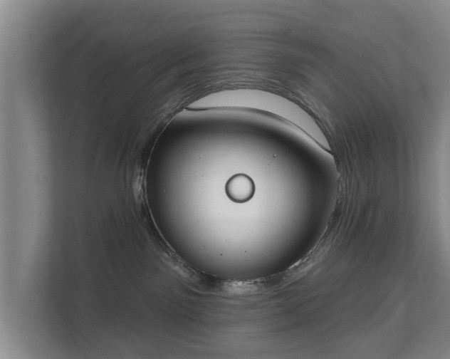 X0000111610141200907241017