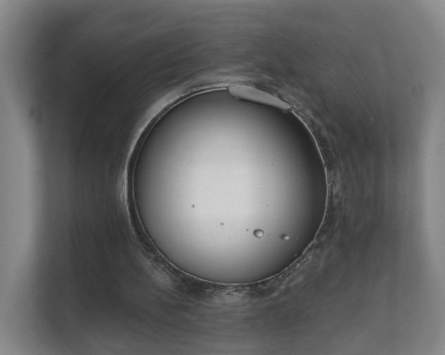 X0000111610148200907241016