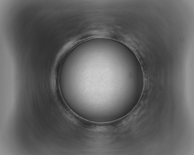 X0000111610149200907241017