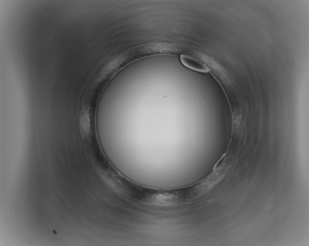 X0000111610158200907241017