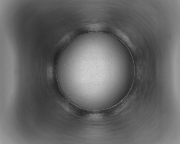 X0000111610161200907241017