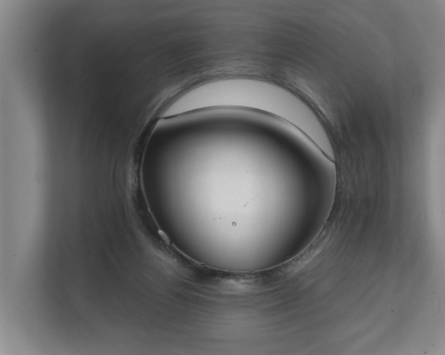 X0000111610164200907241017