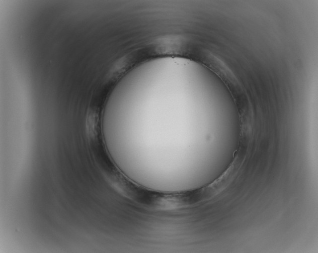 X0000111610171200907241017