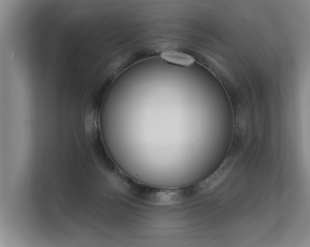 X0000111610172200907241017