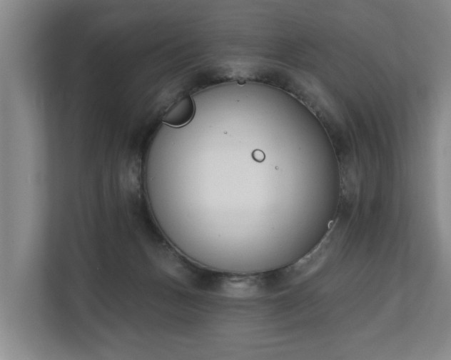 X0000111610175200907241017