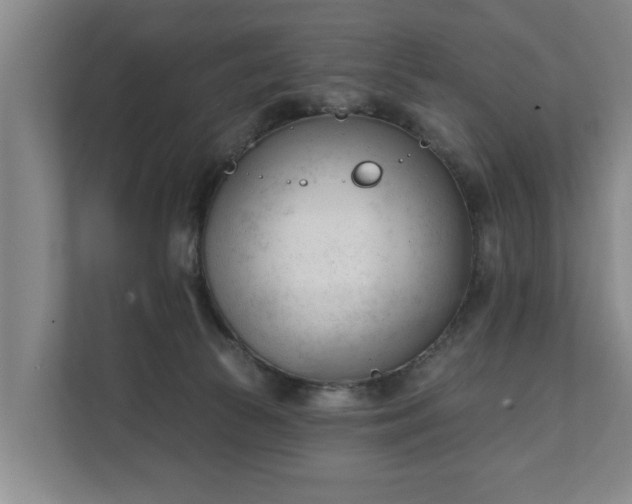 X0000111610177200907241017