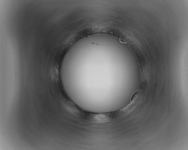 X0000111610183200907241017