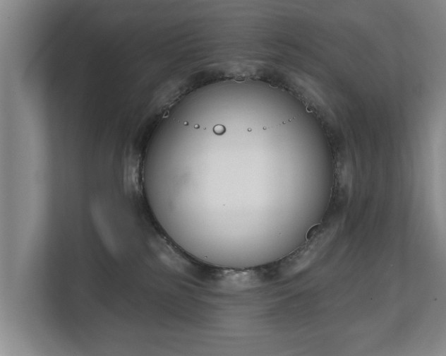 X0000111610185200907241017