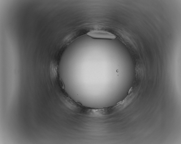 X0000111610188200907241017