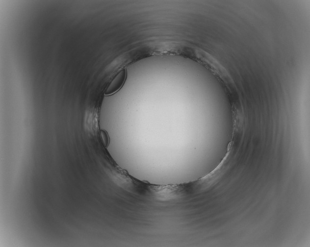 X0000111610191200907241017