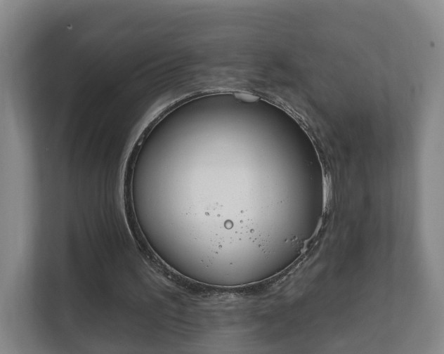 X0000111610195200907241016