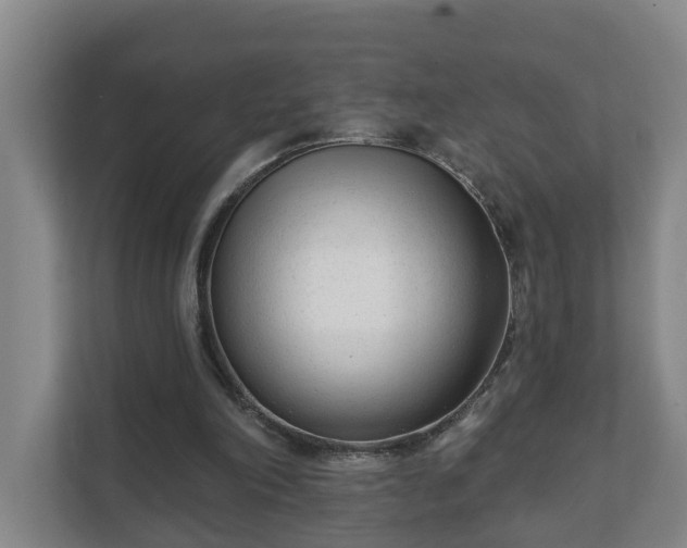 X0000111610198200907241016