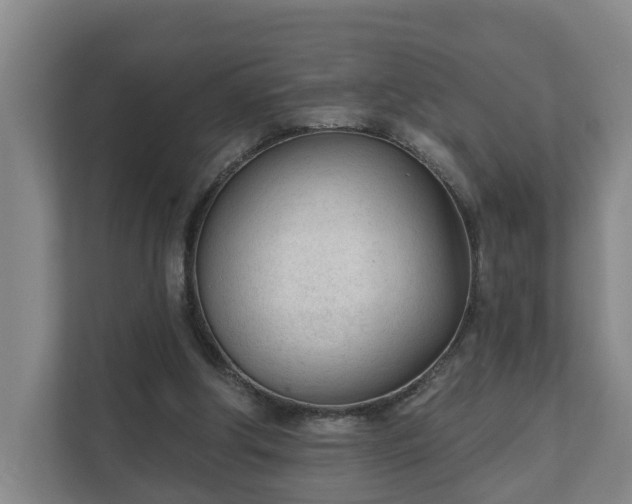 X0000111610202200907241016
