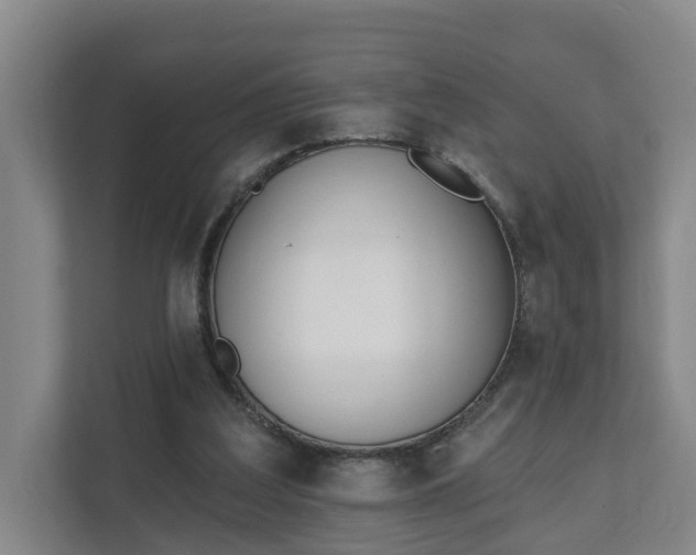 X0000111610203200907241016