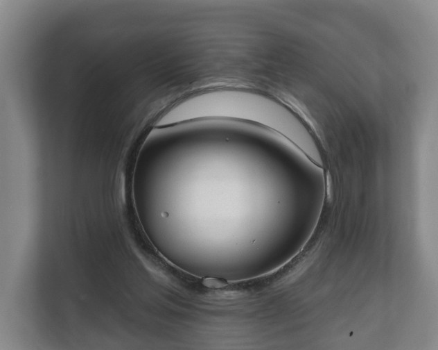 X0000111610205200907241016