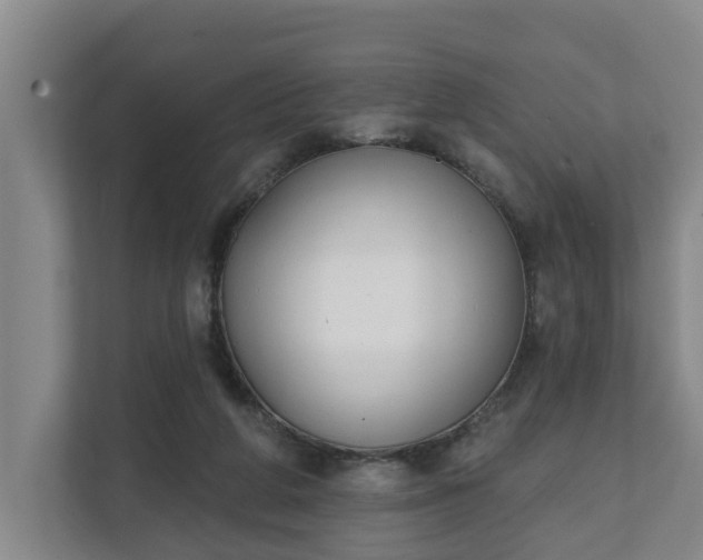 X0000111610210200907241016