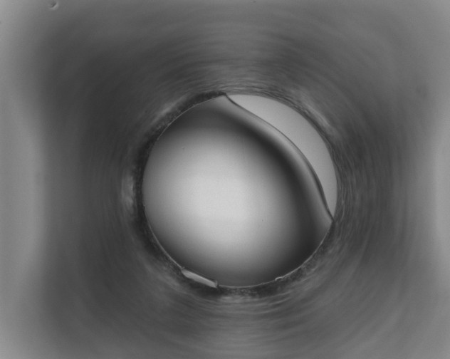 X0000111610211200907241016