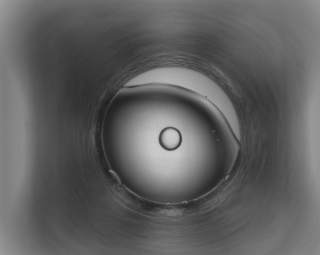 X0000111610217200907241016