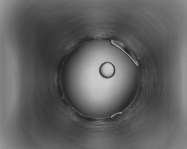 X0000111610219200907241016