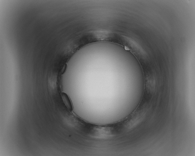 X0000111610221200907241016
