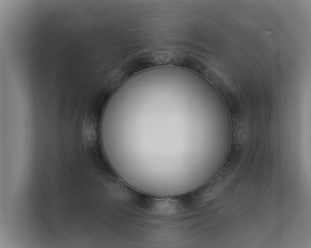X0000111610226200907241016