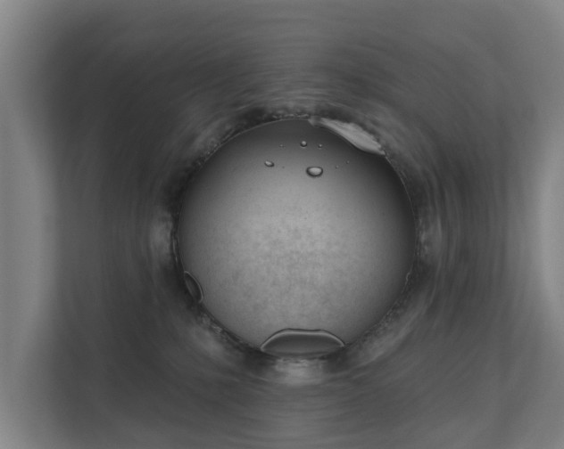 X0000111610231200907241016