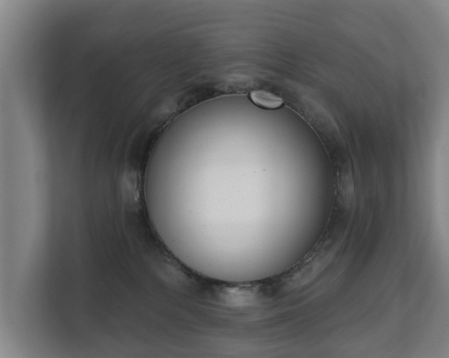 X0000111610232200907241016