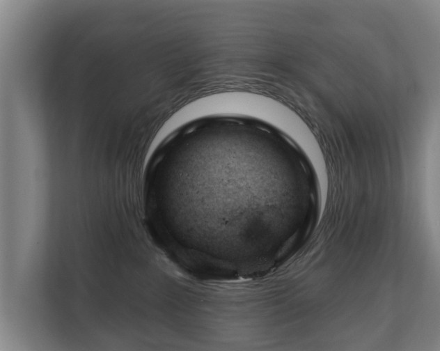X0000111610235200907241016