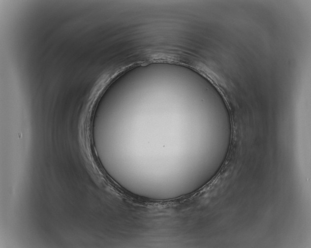 X0000111610241200907241015