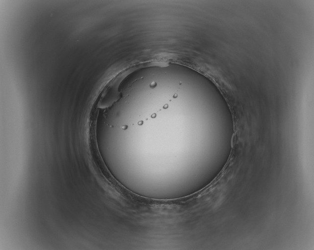 X0000111610242200907241015