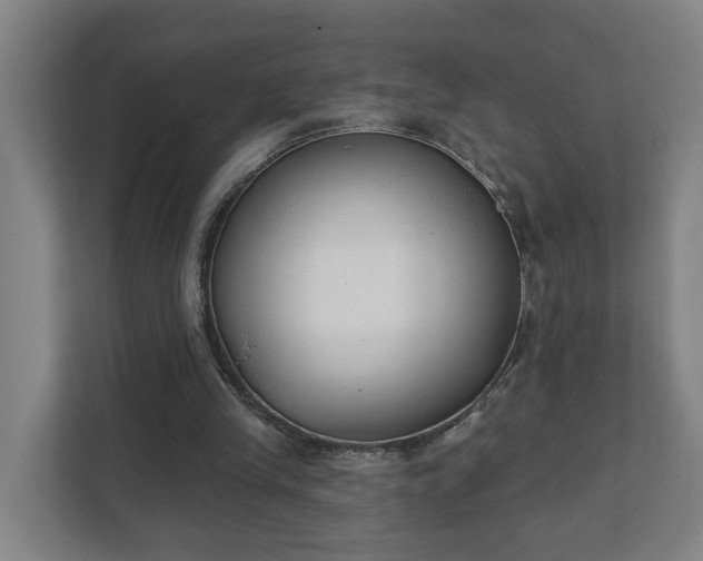 X0000111610245200907241015