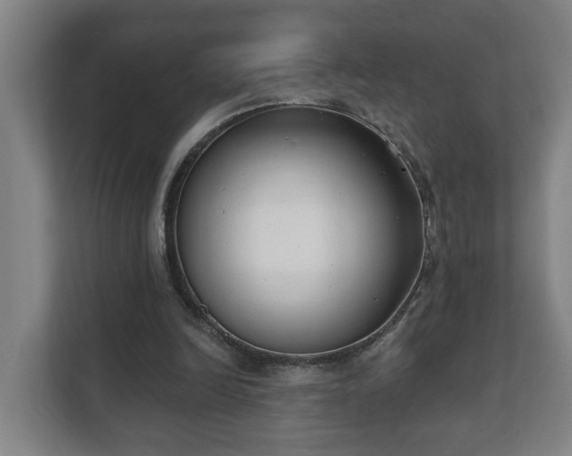 X0000111610246200907241015