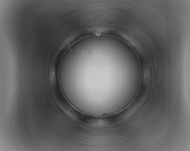 X0000111610254200907241015