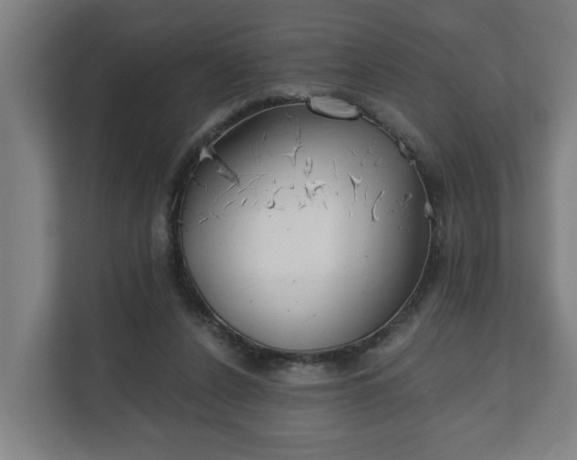 X0000111610256200907241015