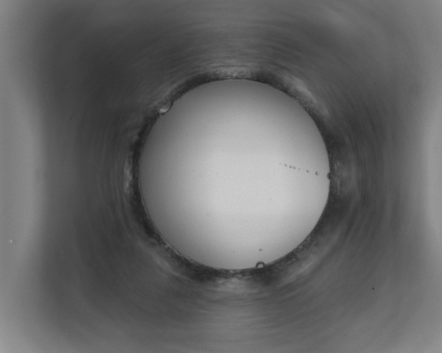 X0000111610259200907241015