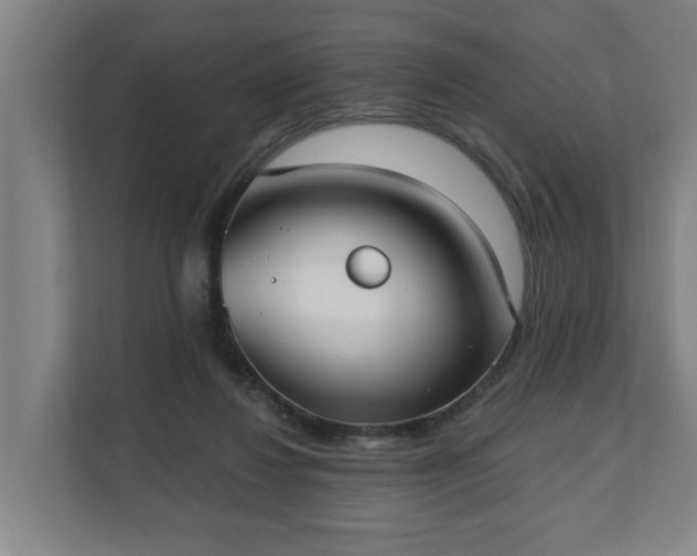 X0000111610260200907241015