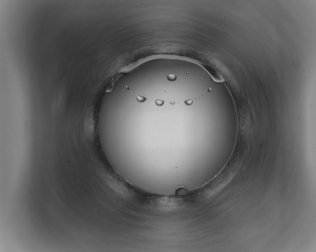 X0000111610261200907241015