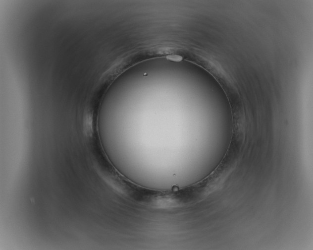 X0000111610262200907241015