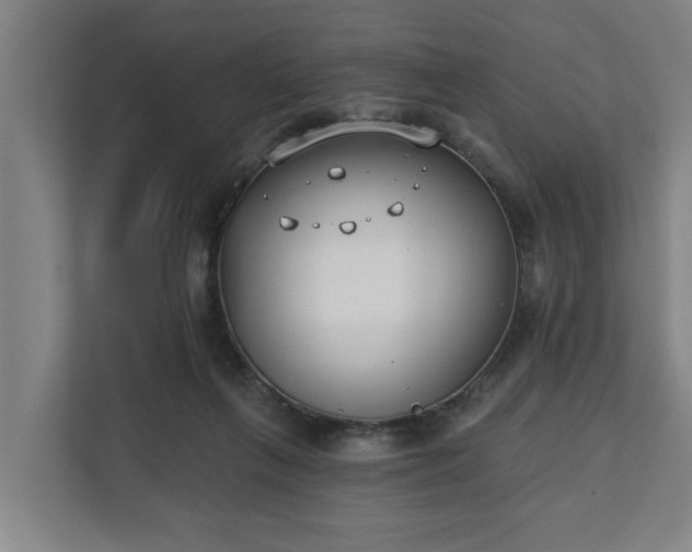X0000111610263200907241015