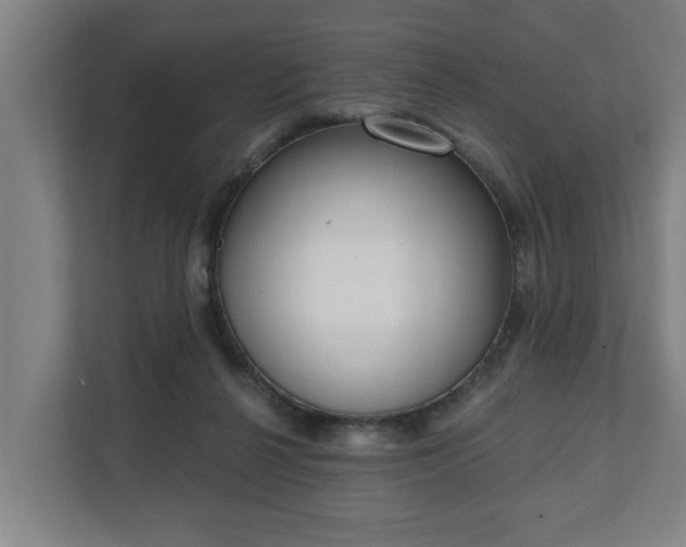 X0000111610264200907241015