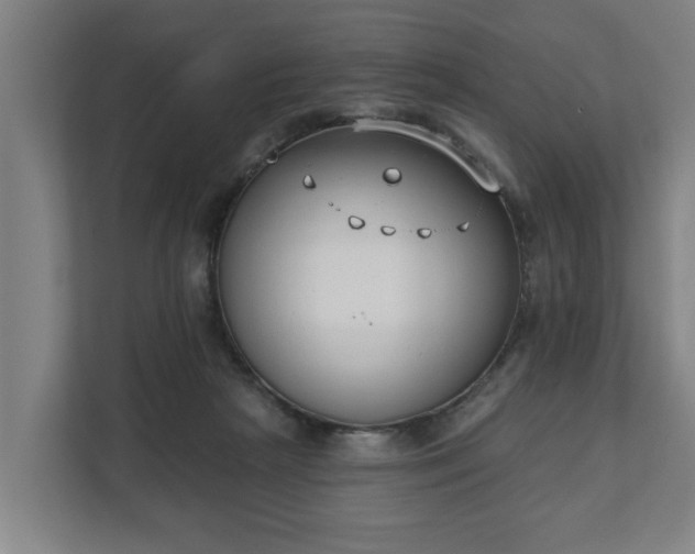 X0000111610265200907241015