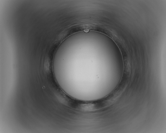 X0000111610266200907241015