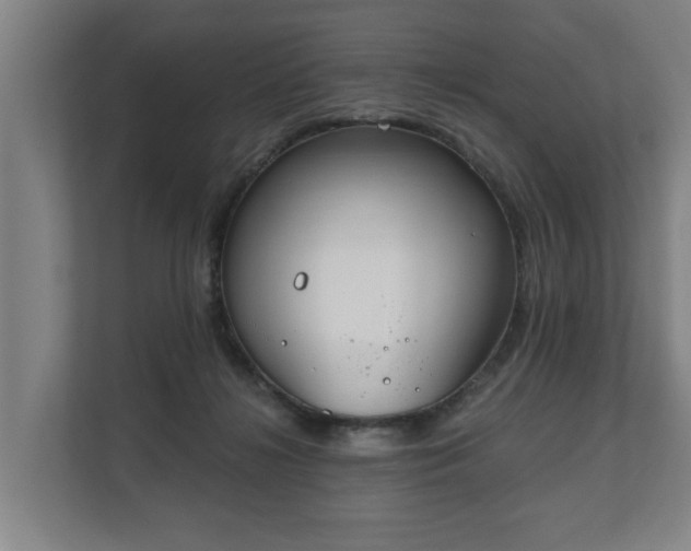 X0000111610268200907241015