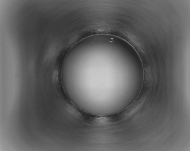 X0000111610269200907241015