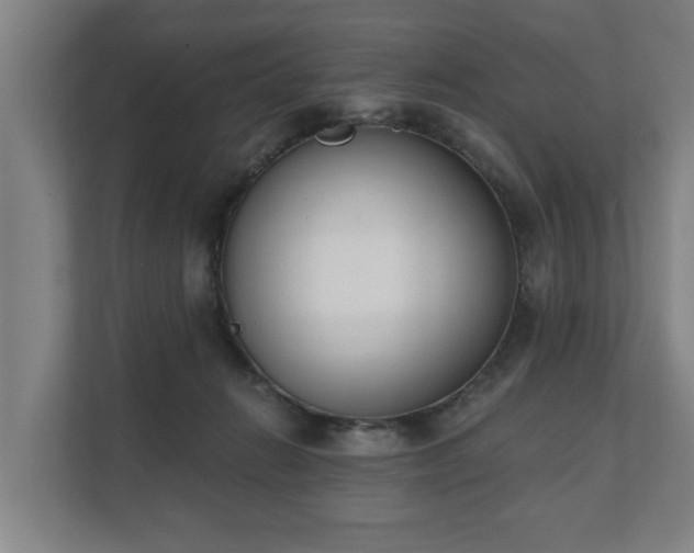 X0000111610270200907241015
